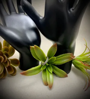 Ring: Thin Stripe