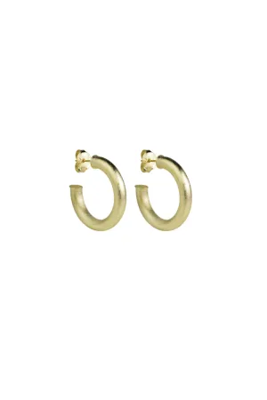 Tiny Thin Small Chantal Hoops