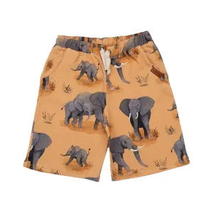 Walkiddy Elephant Family Shorts