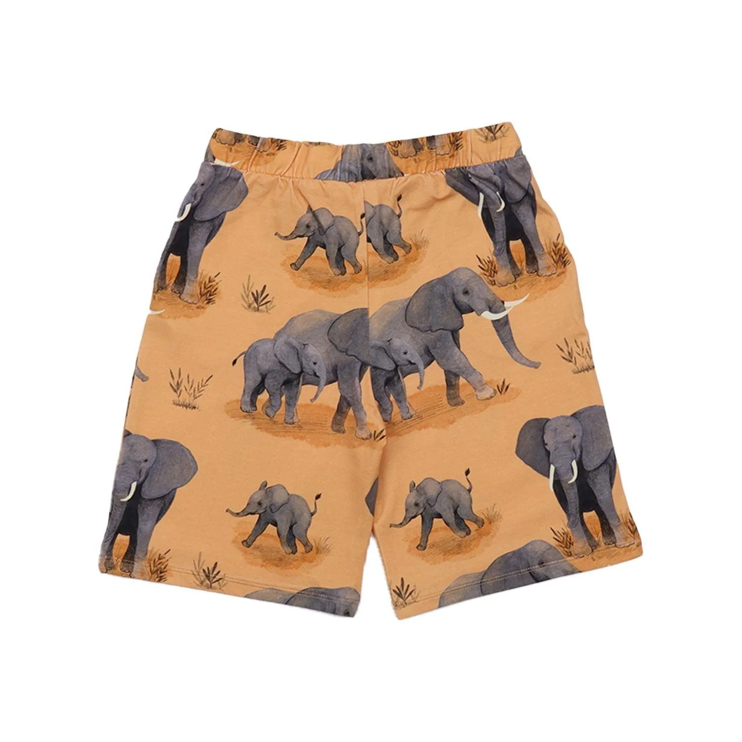 Walkiddy Elephant Family Shorts