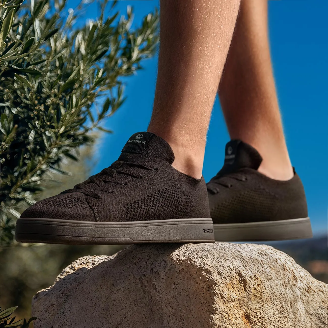 Wool Sneaker Men